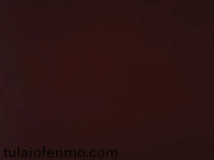 精品久久久久久久久无忧传媒